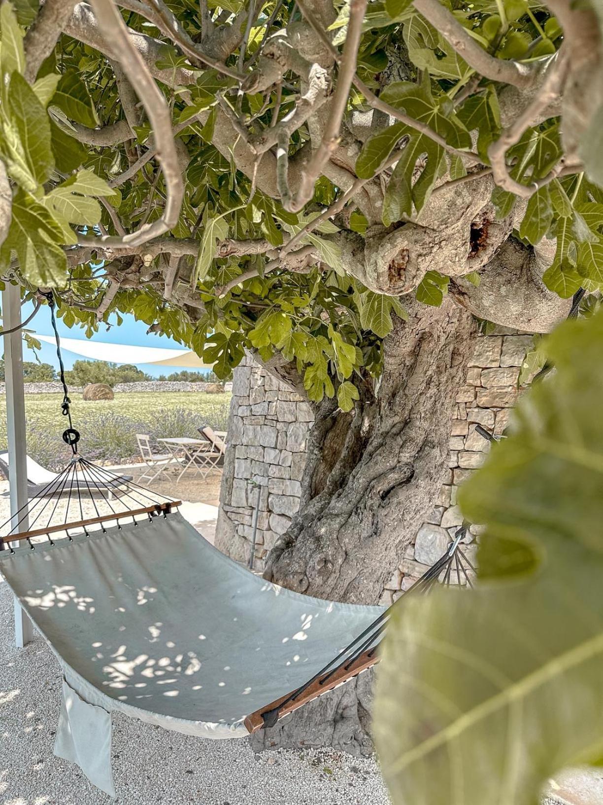Masseria Pavone Martina Franca Ngoại thất bức ảnh